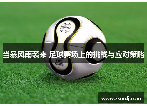 当暴风雨袭来 足球赛场上的挑战与应对策略